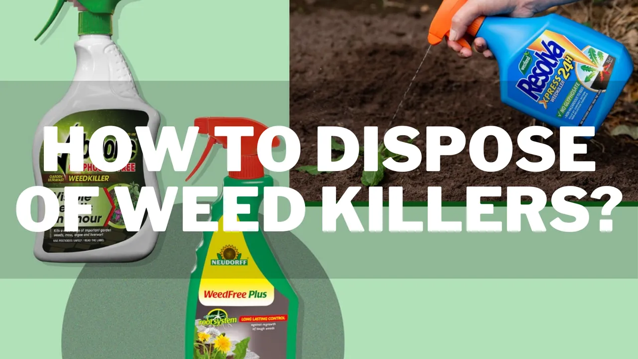 how_to_dispose_of_weed_killers.png