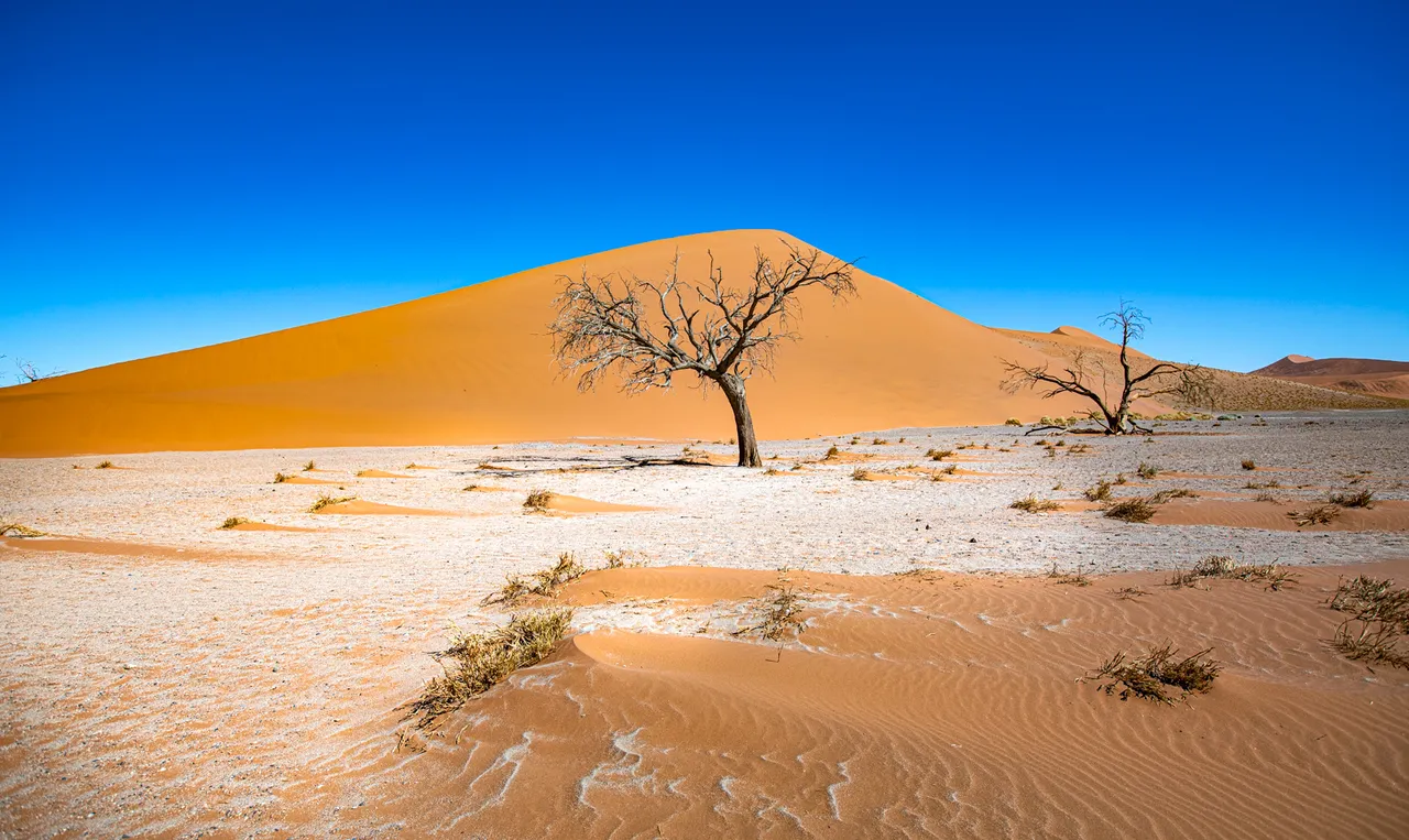 2017_10_14_26_namibia_900_lr_2.jpg