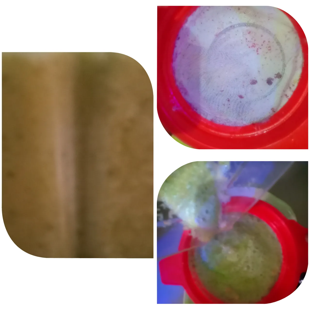 Collage 2025-06-05 10-03-01.png