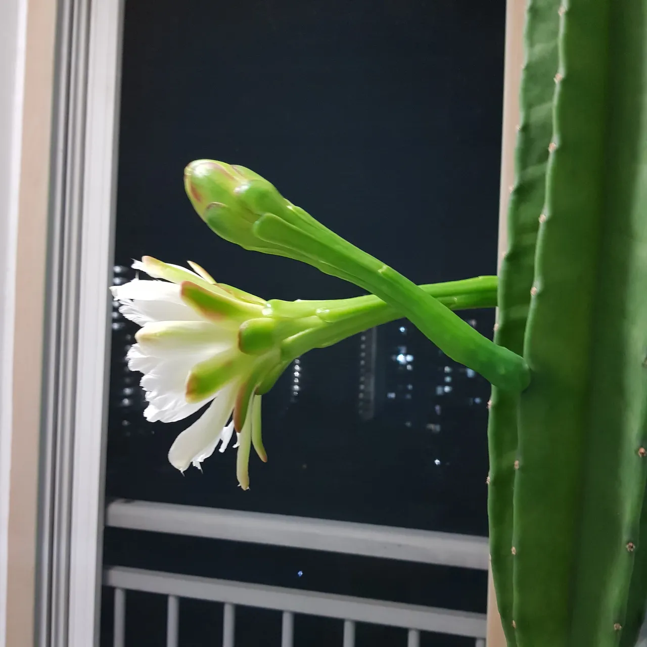 KakaoTalk_20220626_191613497_01.jpg