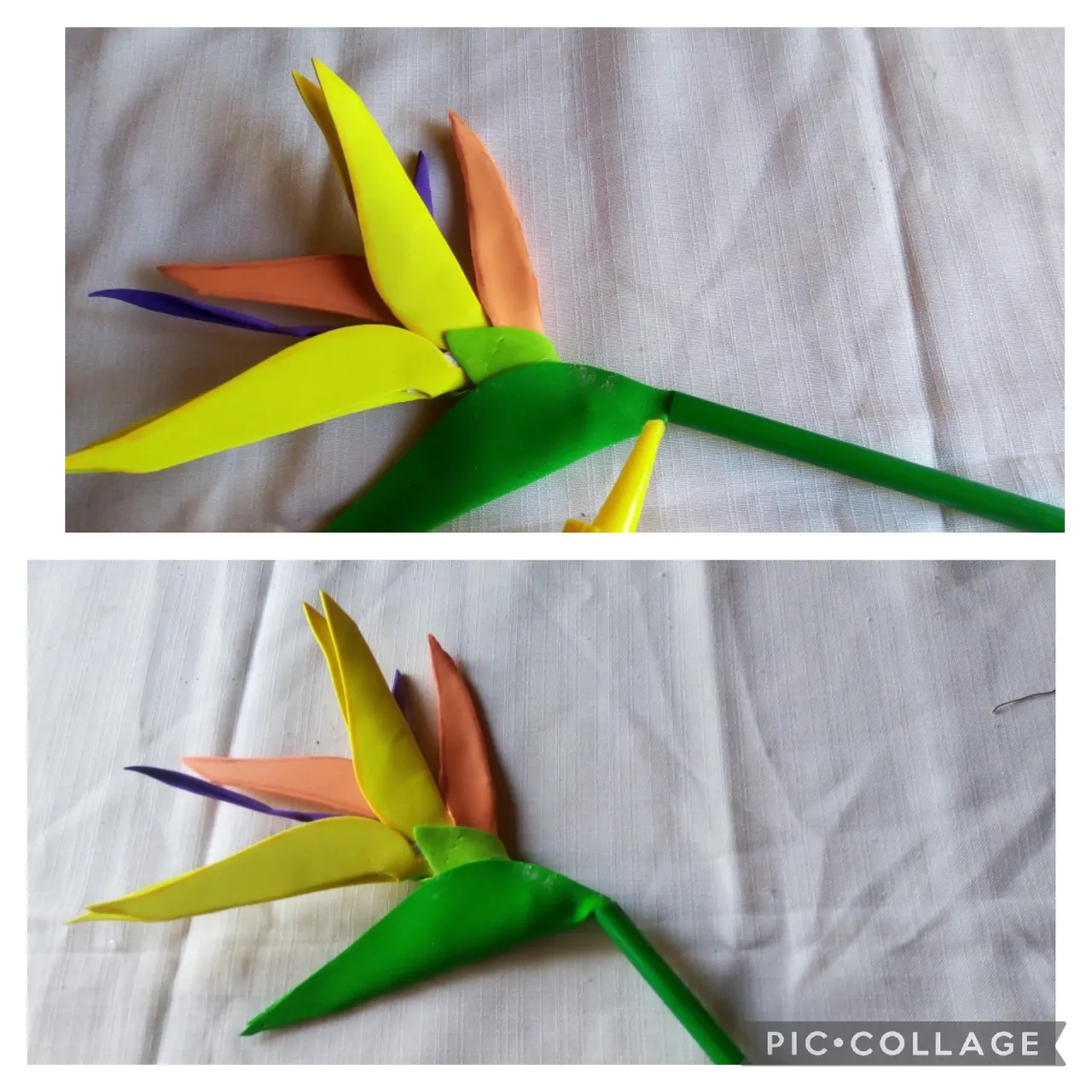 Collage 2022-04-01 18_19_34.jpg