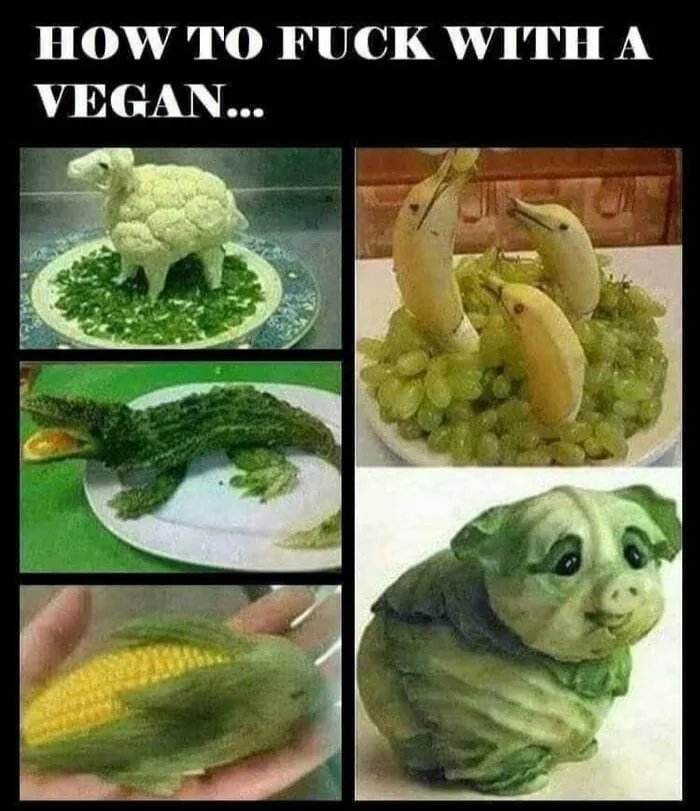 how to f with a vegan.jpg