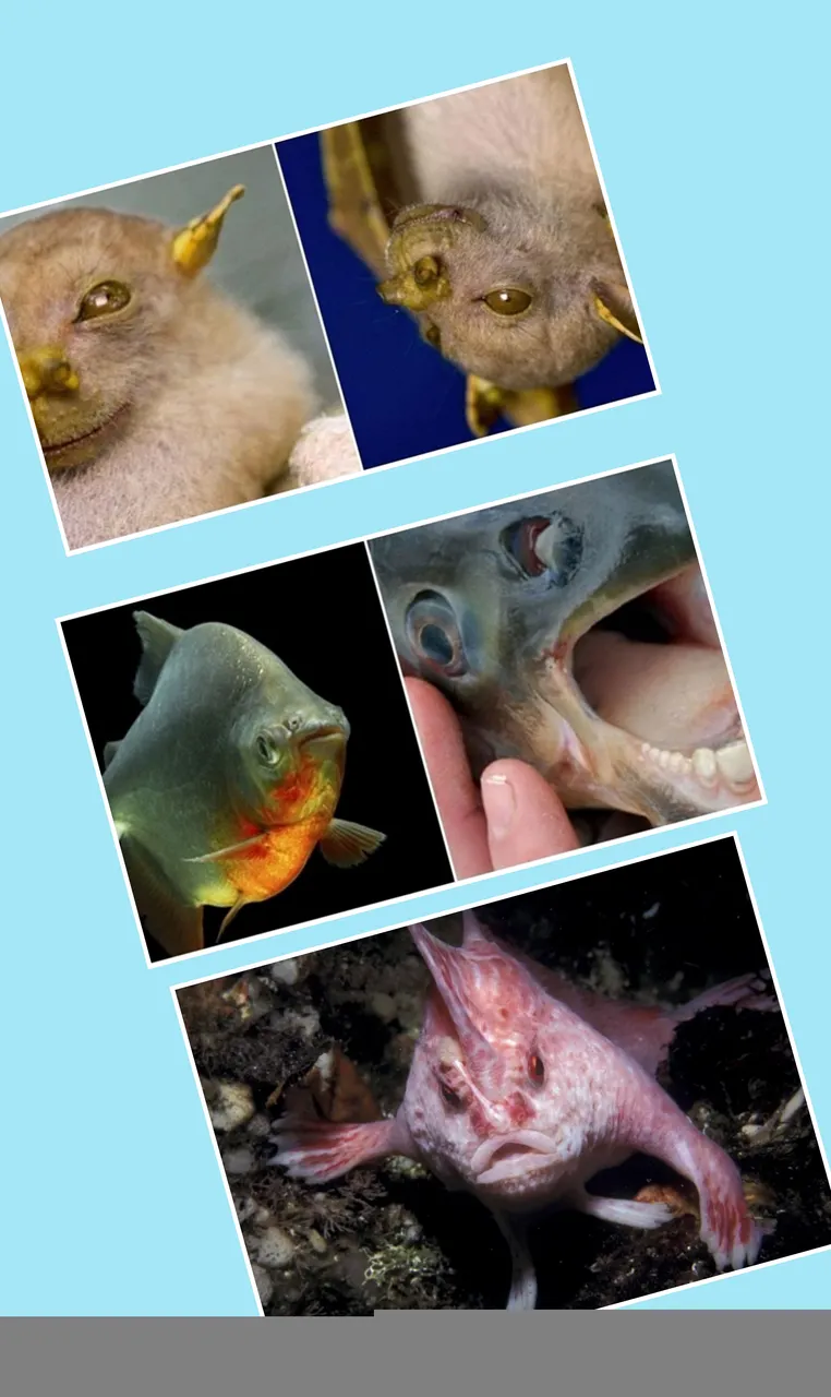 CollageMaker_20211117_230349719.jpg