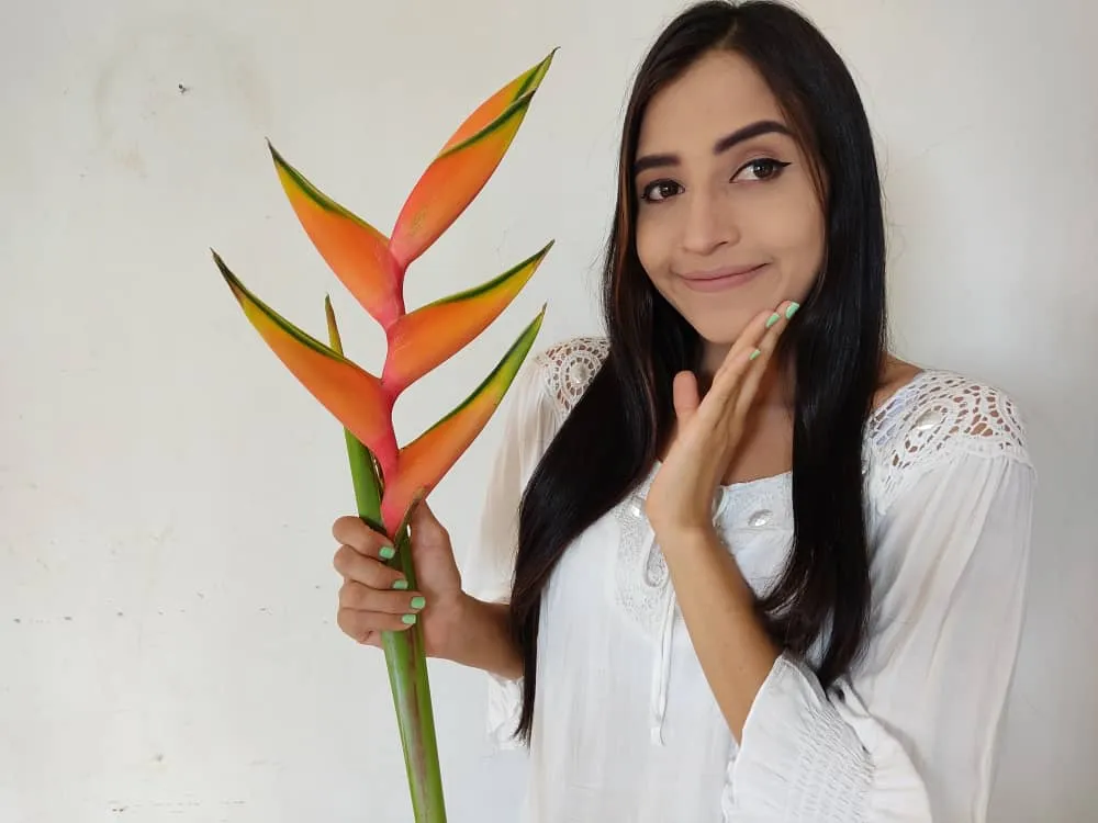 saracamperoflorheliconia (6).jpeg