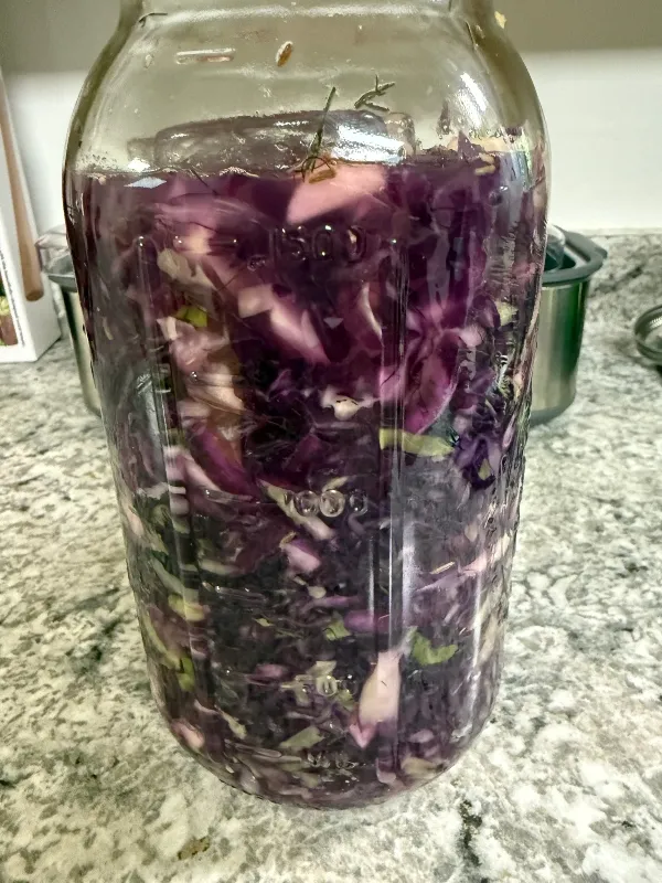 hivegarden-cabbage-sauerkraut-2.jpg