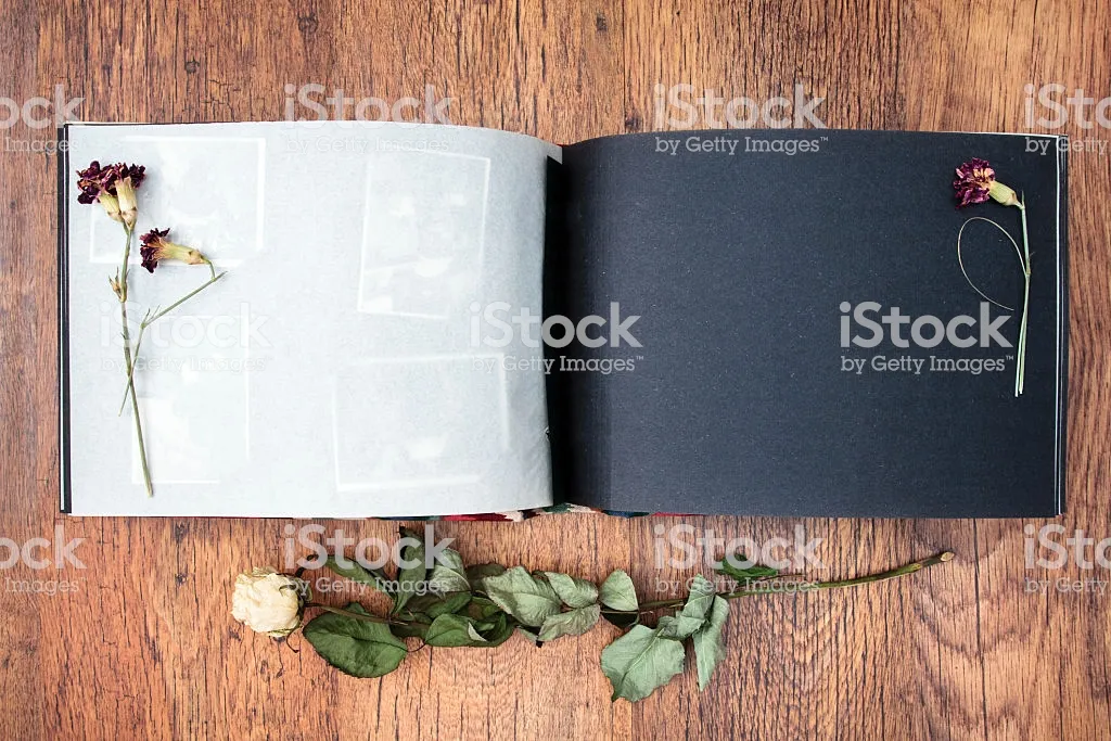 istockphoto-515199251-1024x1024.jpg