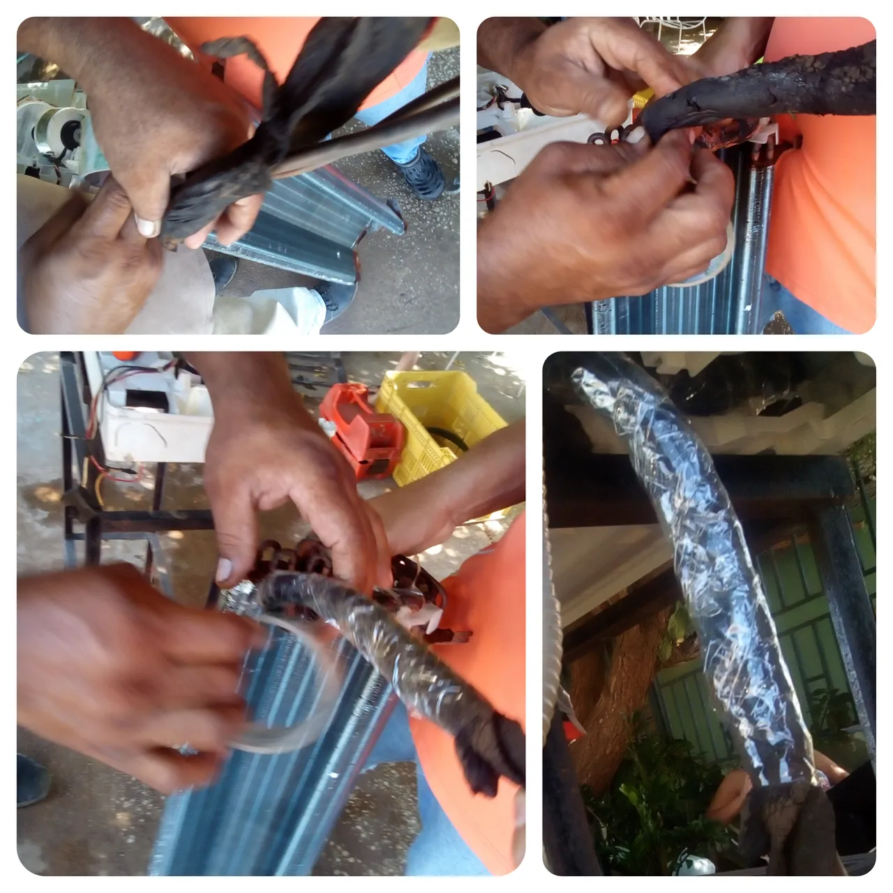 CollageMaker_20211127_134546195.jpg