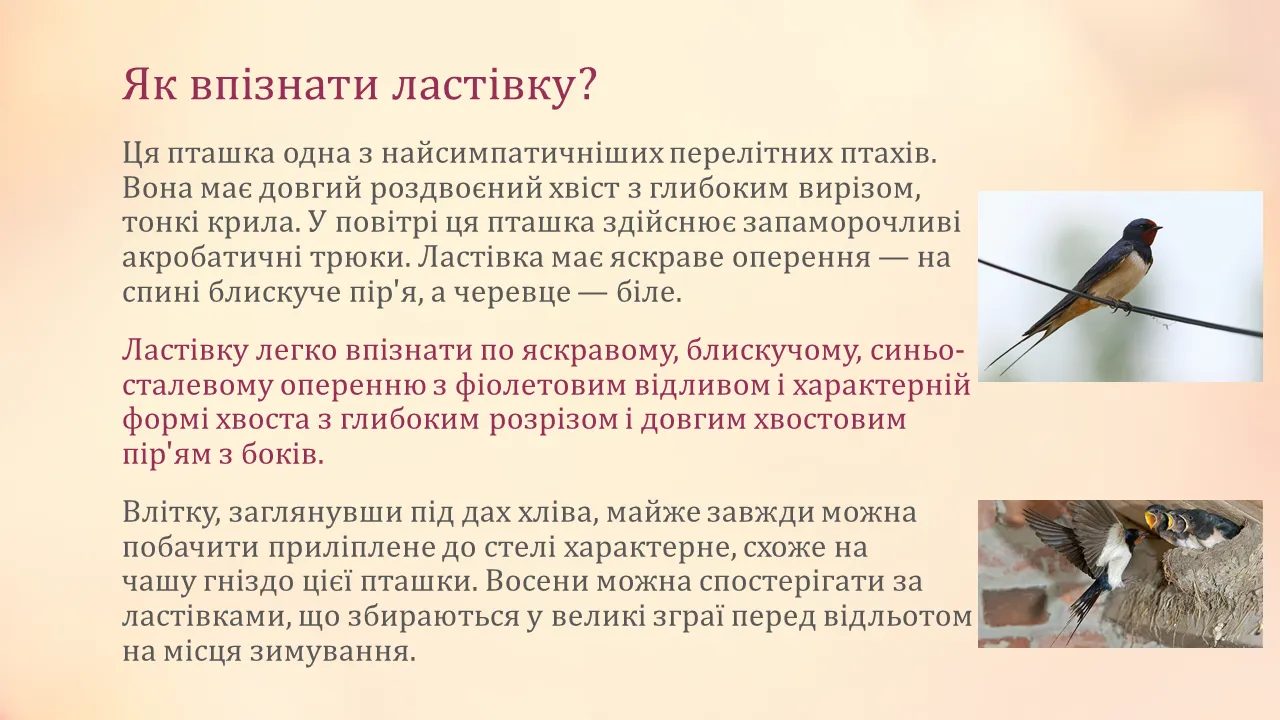 Слайд3.PNG