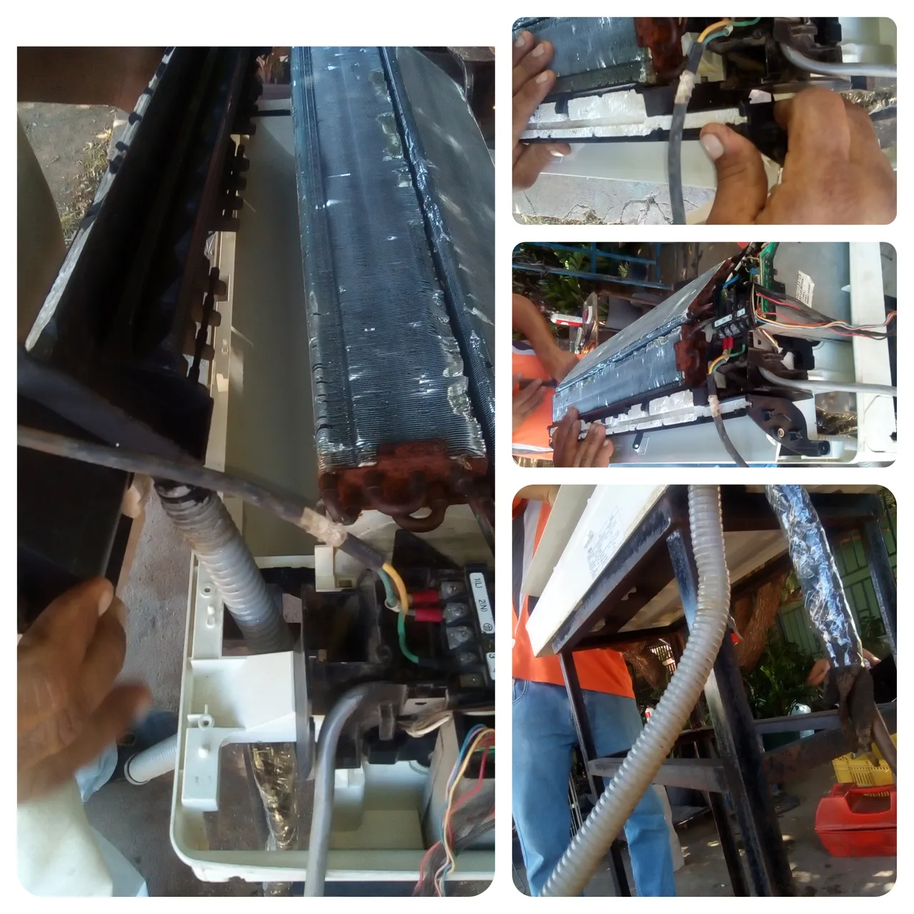 CollageMaker_20211127_135440007.jpg