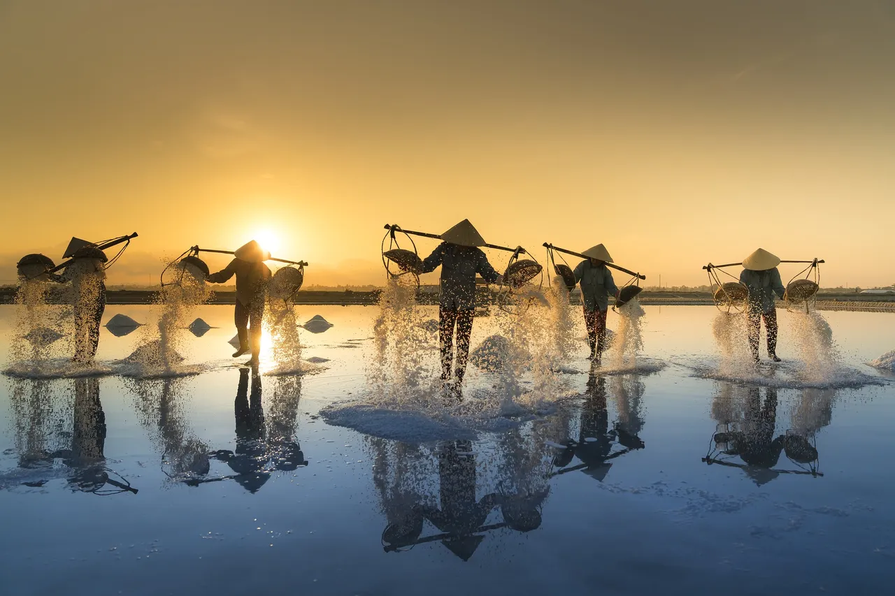 salt-harvesting-g0113202f4_1920.jpg