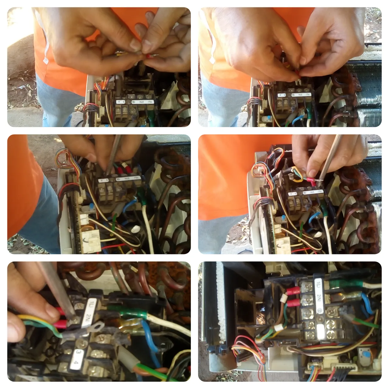 CollageMaker_20211127_135739323.jpg