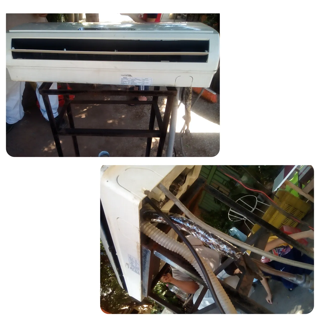 CollageMaker_20211127_135822134.jpg