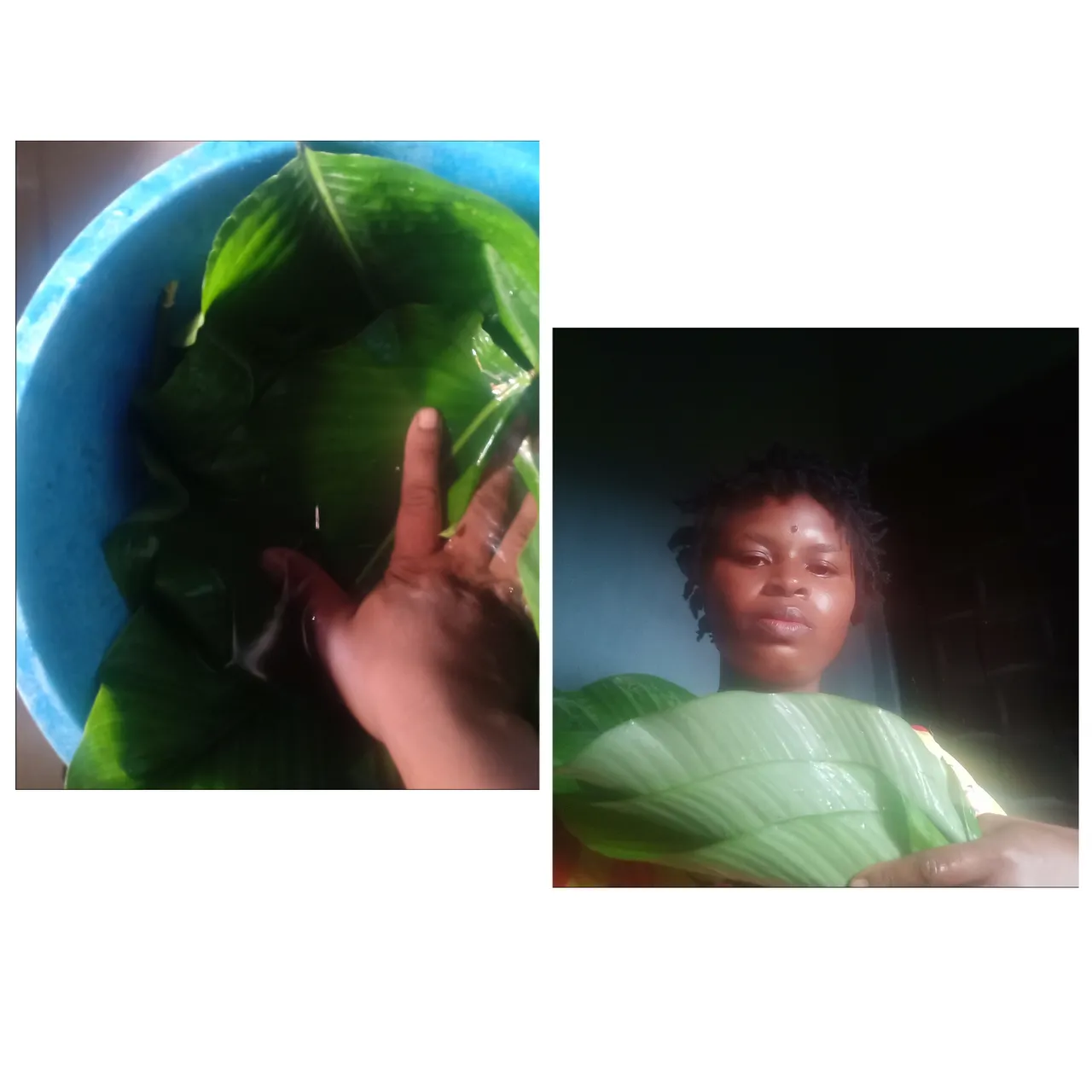 Collage 2025-07-27 12-54-15.png