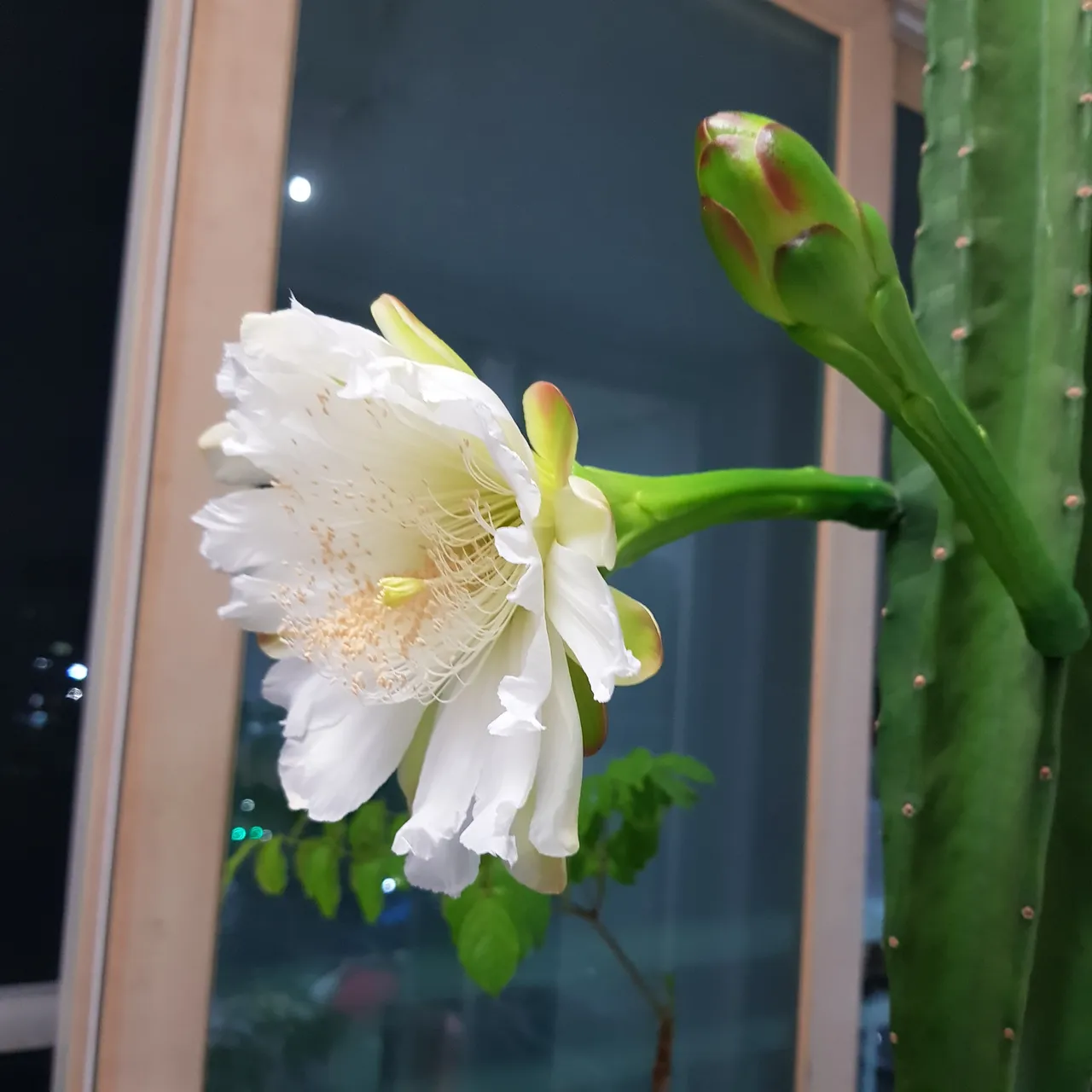 KakaoTalk_20220626_191613497_02.jpg