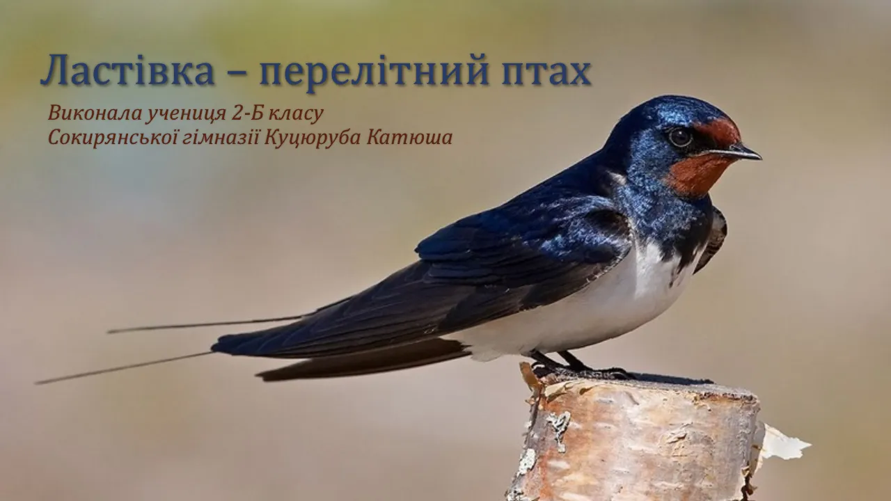 Слайд1.PNG