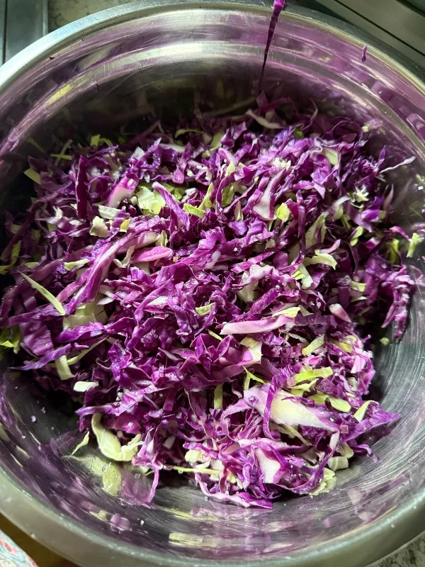 hivegarden-cabbage-sauerkraut-1.jpg