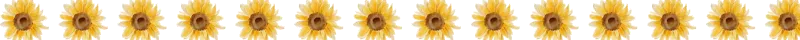 1746651717170760710626541328692.png