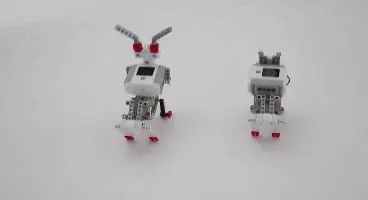 rabbit-robot.mp4