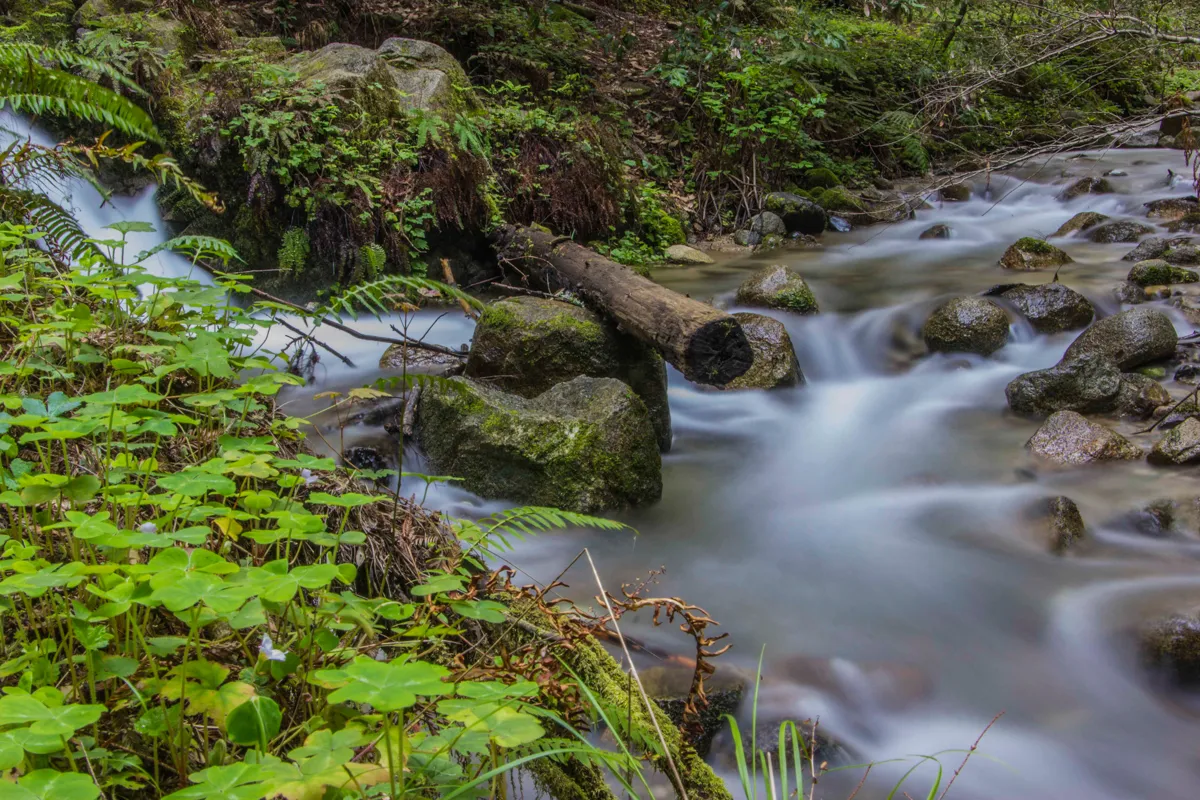 Fall creek long exposure.jpg