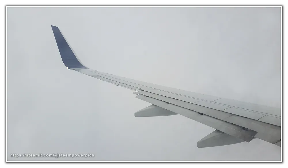 Wingtip-View-02-SteemPowerPics.png