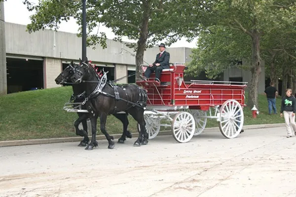 OSF-Draft-Horse-Show-3-600x400.jpg