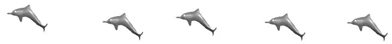 dolphin-divider-schamangerbert.jpg