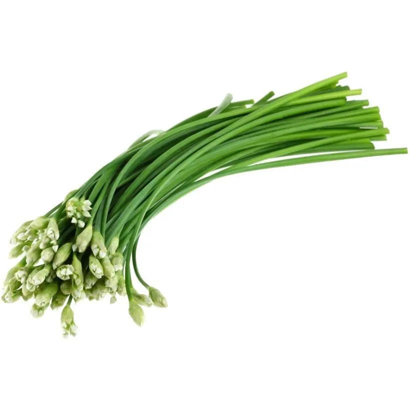 Garlic_Chives_edited_1024x1024.jpg