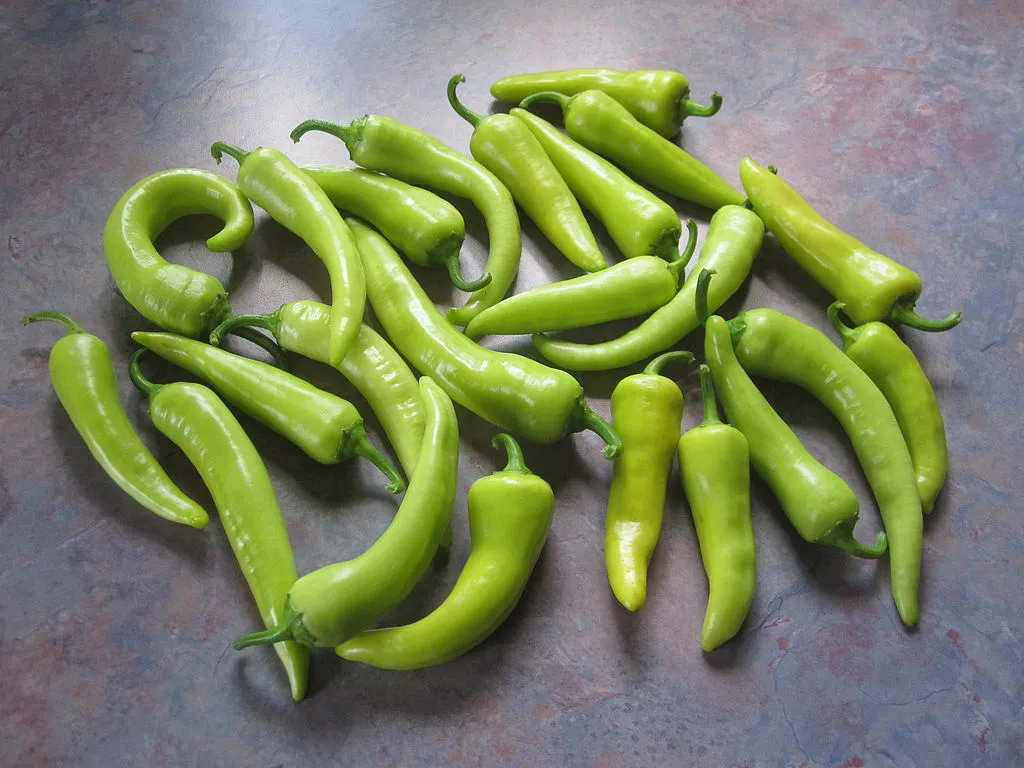 1024px-Banana_Peppers_20120903.jpg