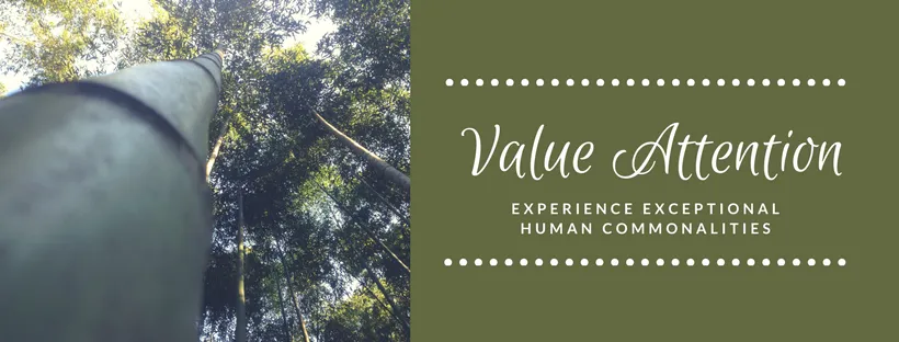 experience value attention.png