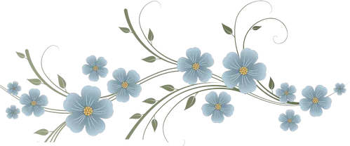 pale-blue-page-divider-flowers.png