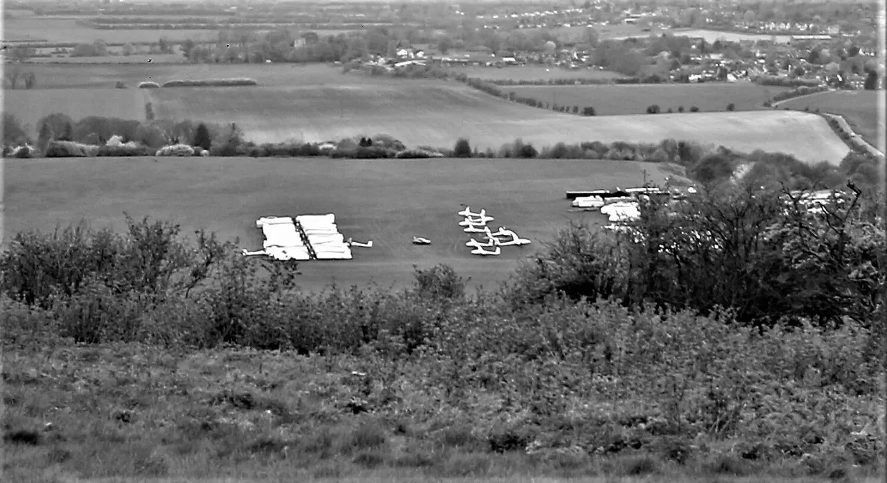 gliders in a row b&w.jpg