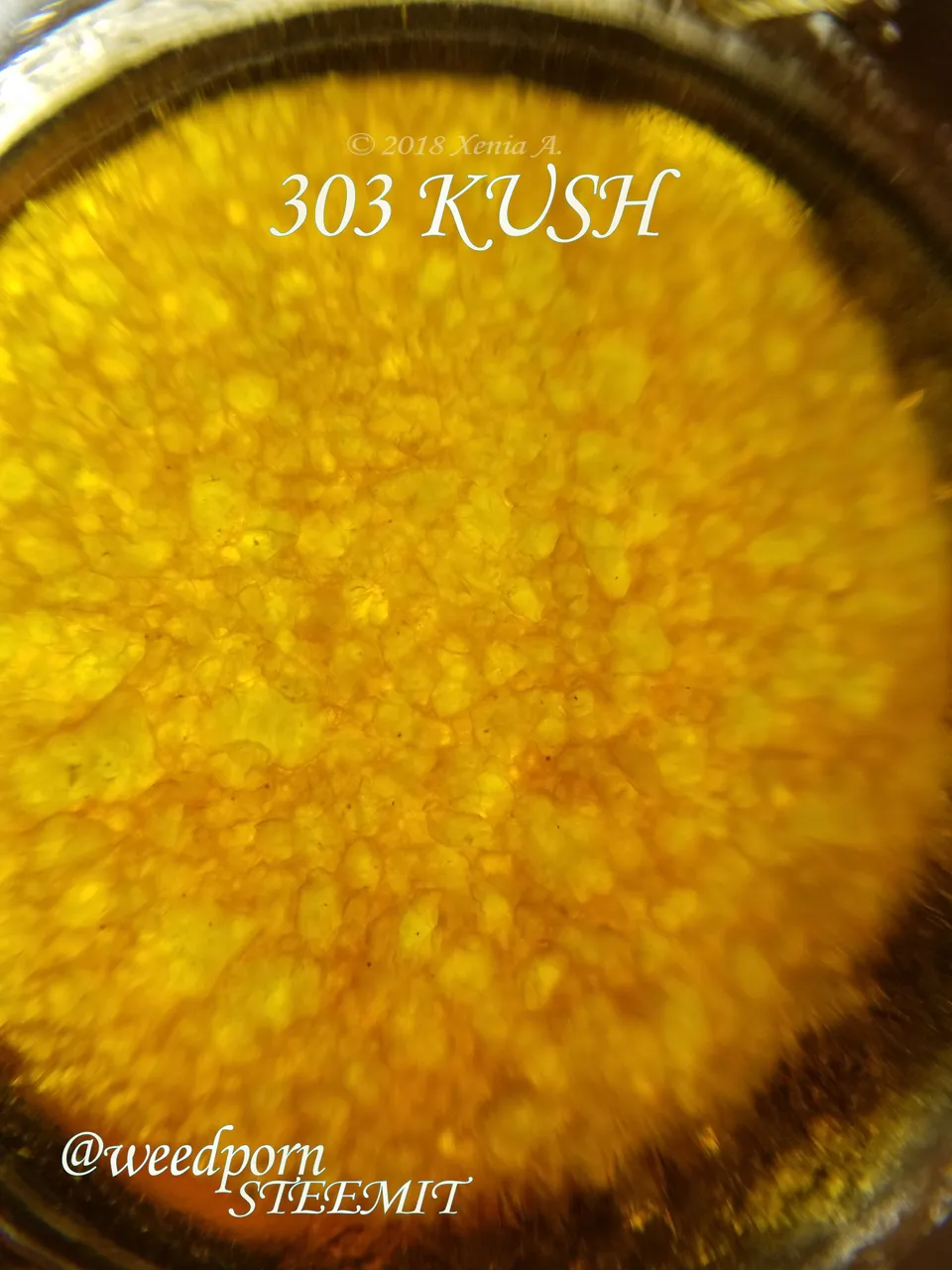 SAUCE OLIO 303 Kush WP.jpg