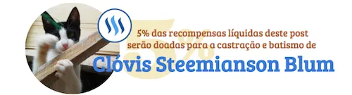 campanha_clovissteemiansonblum.png