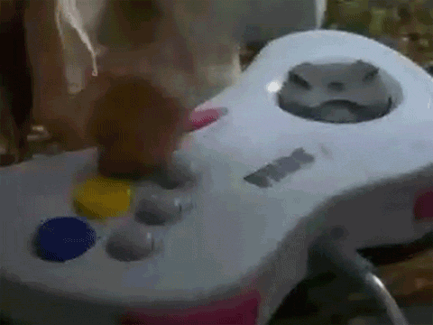 tumblr_m44sto4xrr1qha6i1o1_500.gif