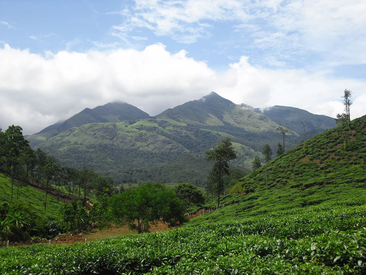 A_view_from_chundel,_wayanad.JPG