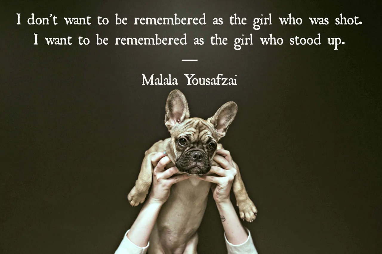 Malala Yousafzai quote 1.jpg