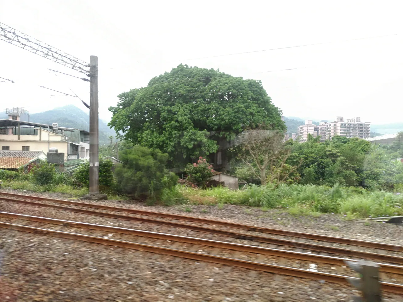 P_20180422_093438_vHDR_Auto_HP.jpg