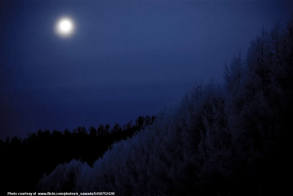 FuzzyFullWinterMoon-001-032418.jpg