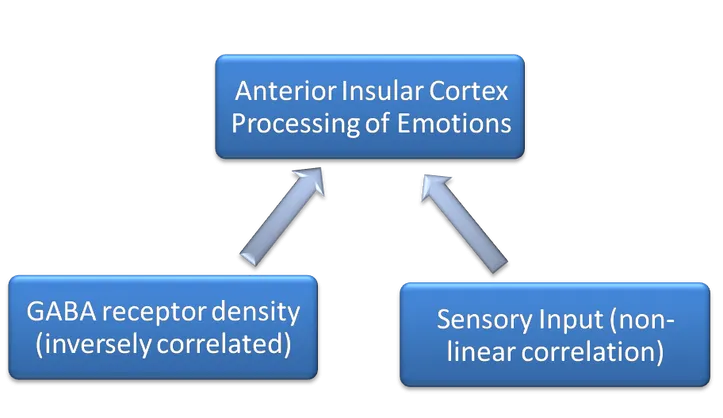anteriorinsularcortexmodel2008.png