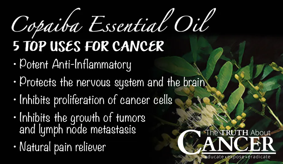 Copaiba-Essential-Oil-benefits.jpg