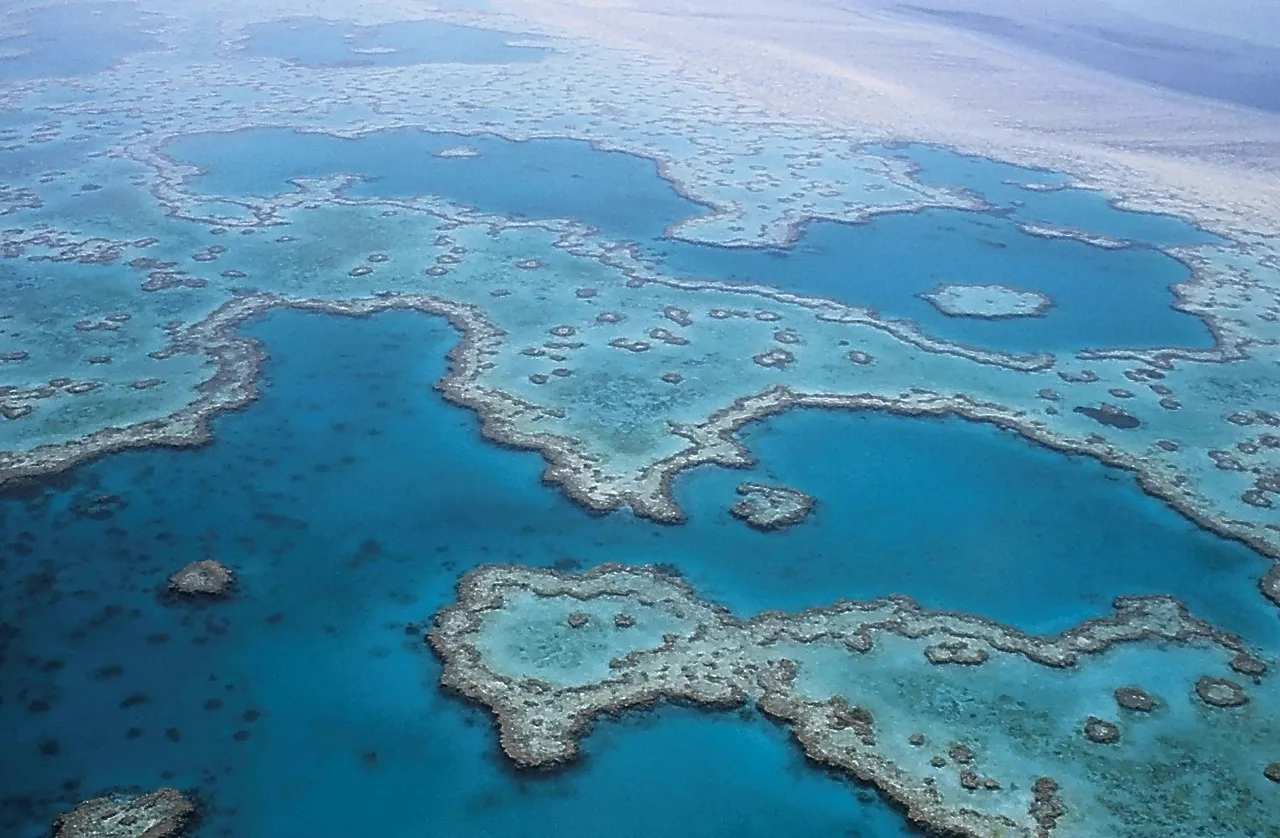 great-barrier-reef-527987_1280.jpg