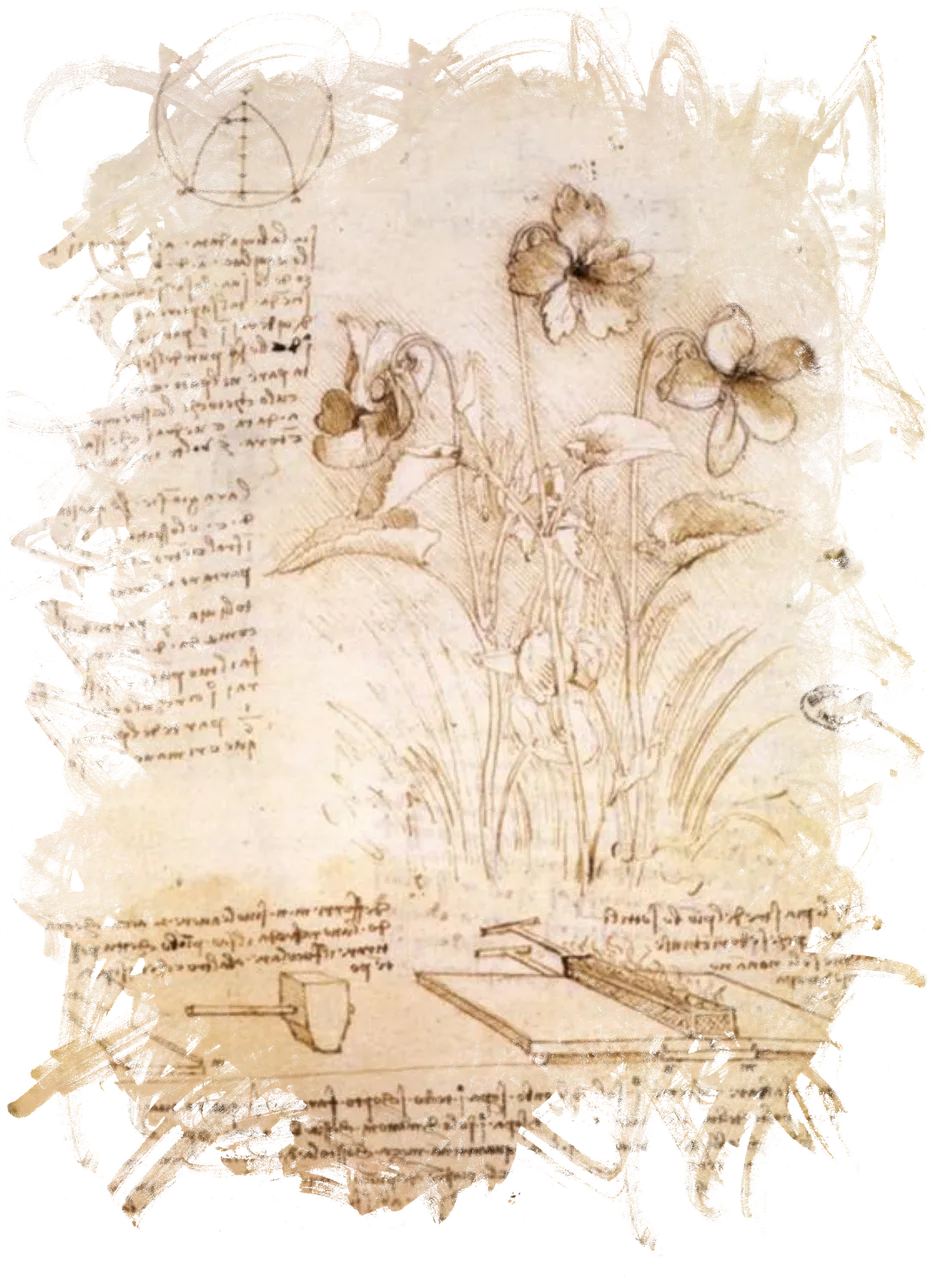 leonardo-da-vinci-1763264_1280.png