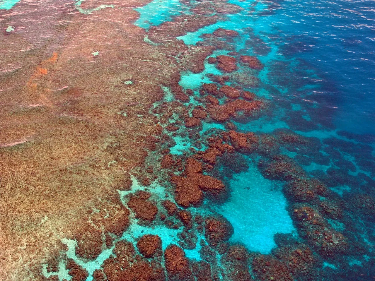 great-barrier-reef-261726_1280.jpg