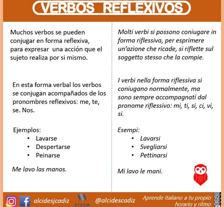 MICROLEZIONEJPG060reflexivos01.jpg