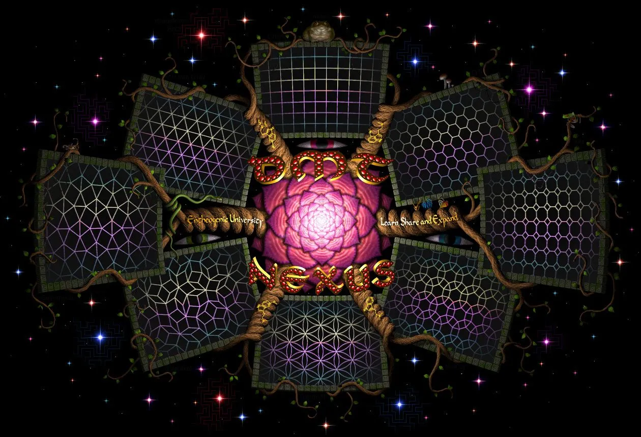 daedaloops_TheFlowerOfDmtNexus.jpg