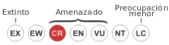 240px-Status_iucn3.1_CR_es.svg.png