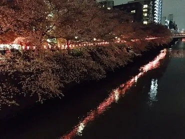 S - attachImage_1071120452.jpg