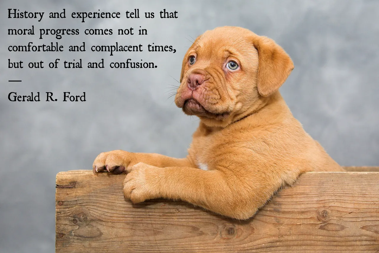 Gerald R. Ford quote 1.jpg