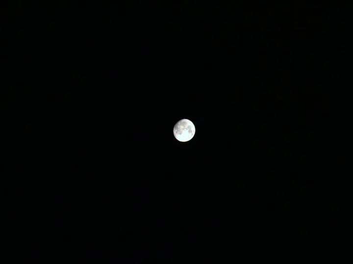 227672_1905892800277_1823095_n.jpg