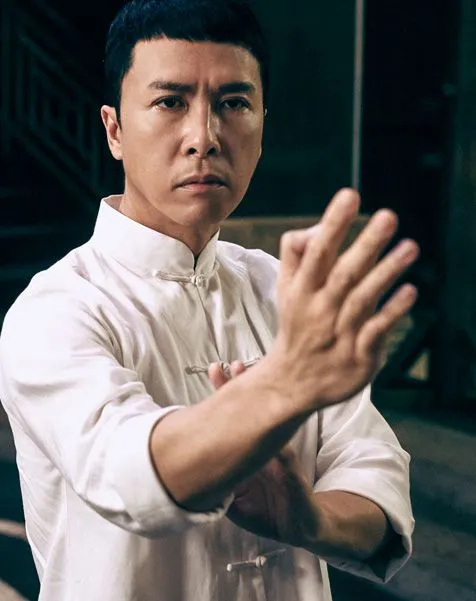 donnie-yen-photo-open-hand-476.jpg